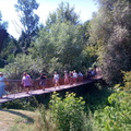 IMG-20240711-WA0012