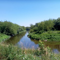 IMG-20240711-WA0013