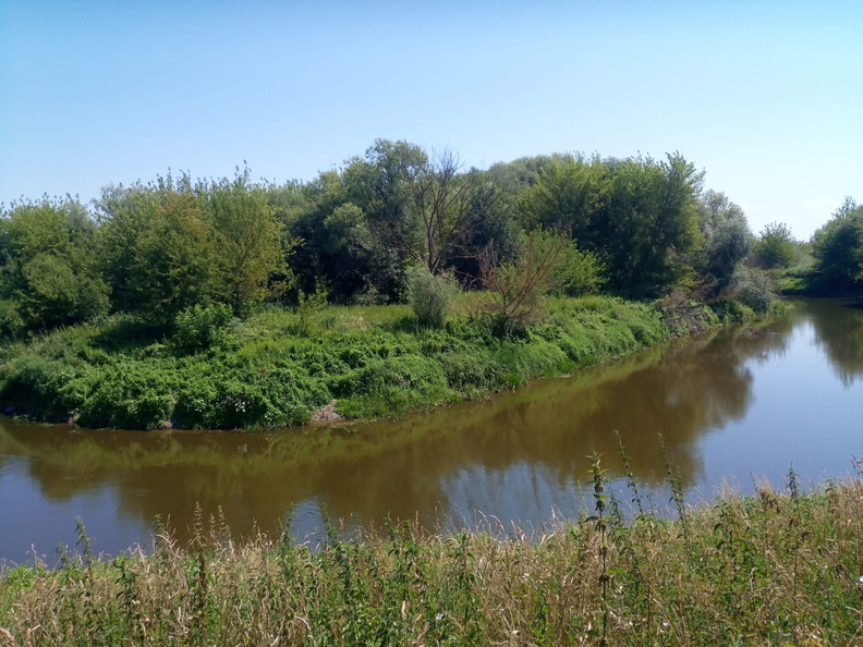 IMG-20240711-WA0014.jpg