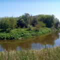 IMG-20240711-WA0014