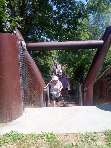 IMG-20240711-WA0017.jpg