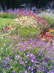 IMG-20240718-WA0021