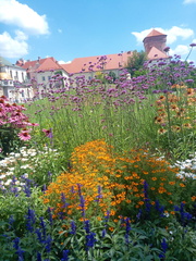 IMG-20240718-WA0020