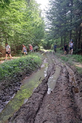 IMG-20240720-WA0008