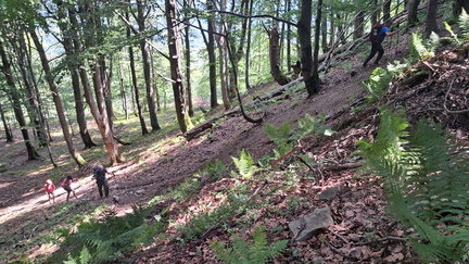 IMG-20240720-WA0010