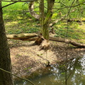 IMG-20240720-WA0034