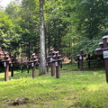 IMG-20240720-WA0035