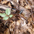 IMG-20240722-WA0014
