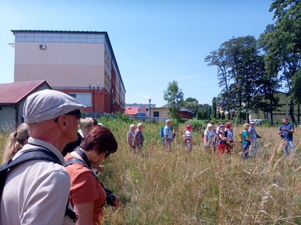 IMG-20240726-WA0043