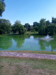 IMG-20240801-WA0006