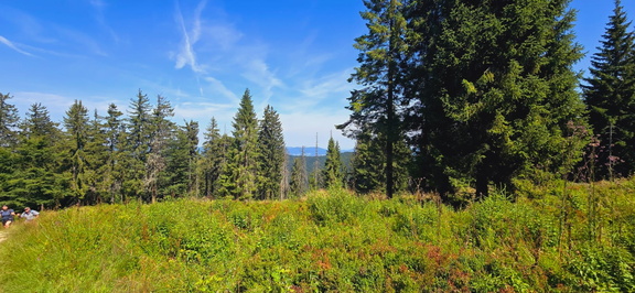 IMG-20240727-WA0015