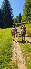 IMG-20240727-WA0016