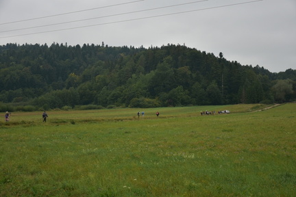 DSC 6119