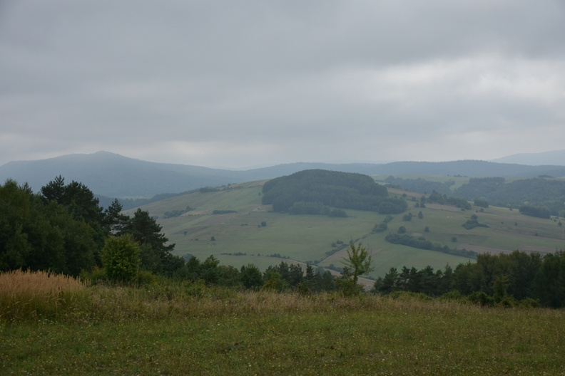 DSC_6131.JPG