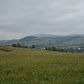 DSC 6138