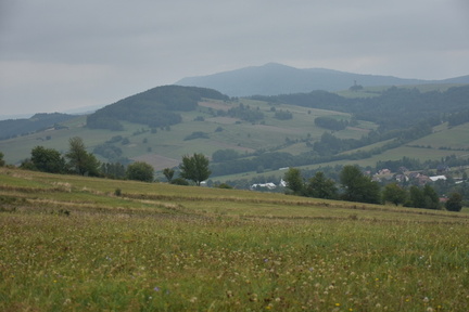 DSC 6139