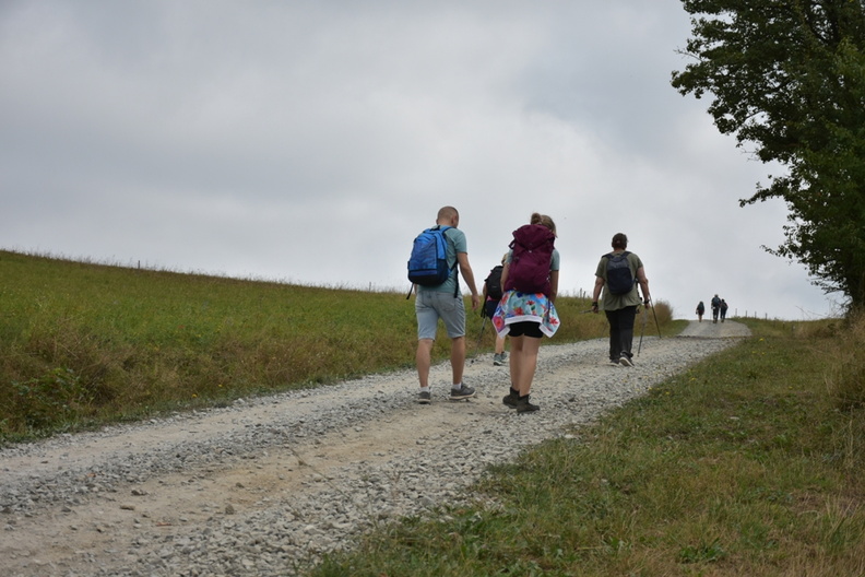 DSC_6141.JPG