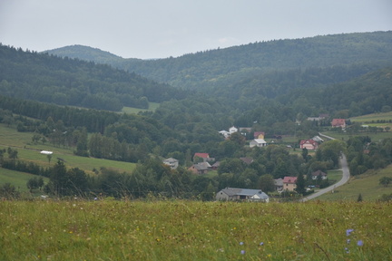 DSC 6145