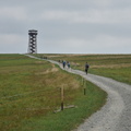 DSC 6151