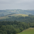DSC 6156