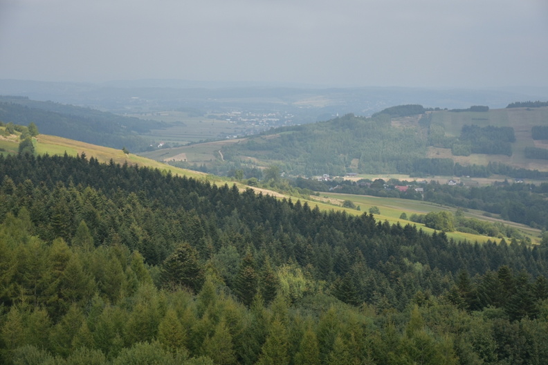 DSC_6159.JPG