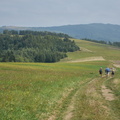 DSC 6161