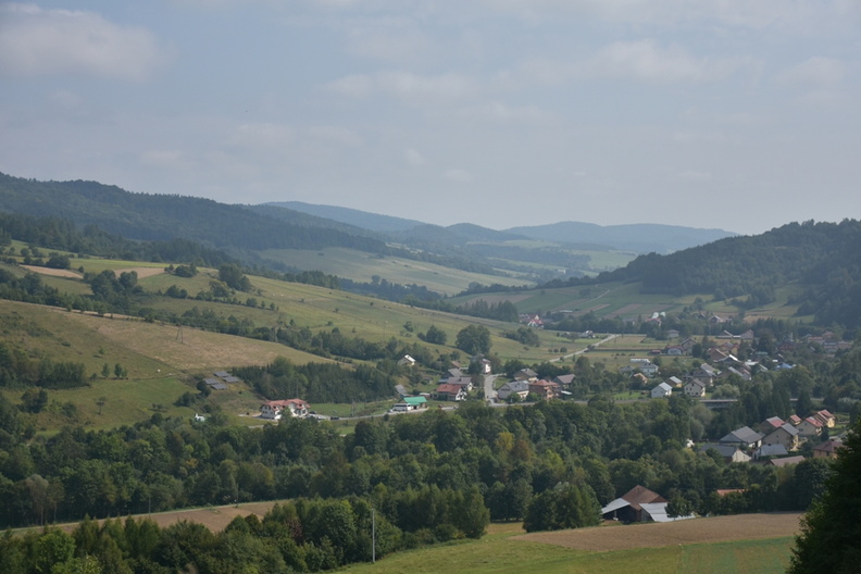 DSC_6170.JPG