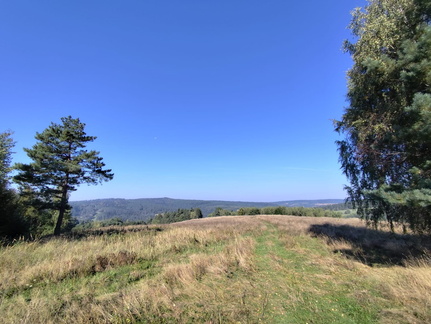 IMG-20240922-WA0005