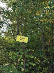 IMG-20240922-WA0014