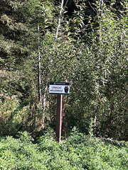 IMG-20240922-WA0016