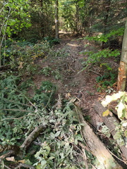 IMG-20240922-WA0017
