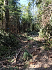 IMG-20240922-WA0018