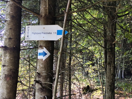 IMG-20240922-WA0019