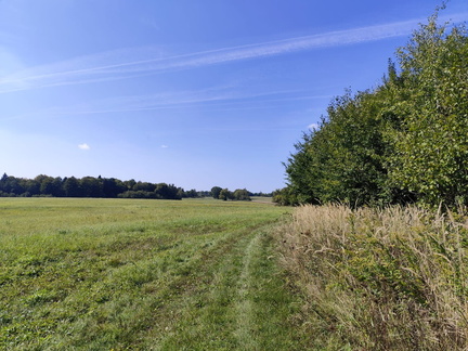 IMG-20240922-WA0021