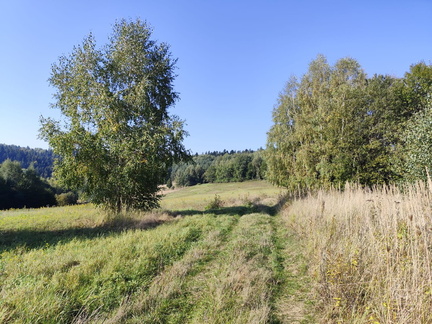 IMG-20240922-WA0025