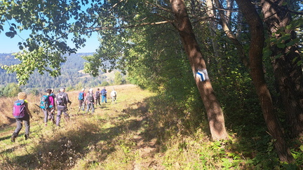 IMG-20240922-WA0029