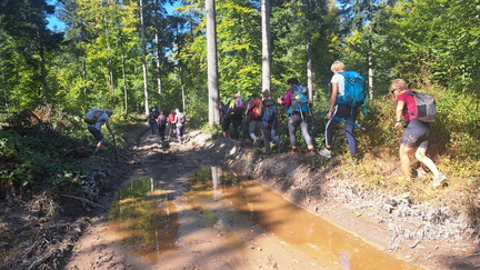 IMG-20240922-WA0030