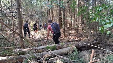 IMG-20240922-WA0036