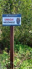 IMG-20240922-WA0037
