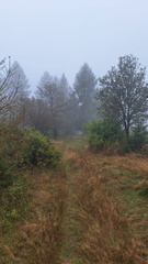 IMG-20240914-WA0011