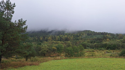 IMG-20240914-WA0014