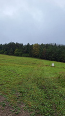 IMG-20240914-WA0017