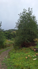 IMG-20240914-WA0018
