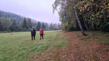 IMG-20240914-WA0035