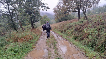 IMG-20240914-WA0038