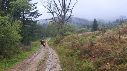 IMG-20240914-WA0039