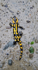 IMG-20240914-WA0042