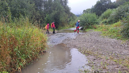 IMG-20240914-WA0045