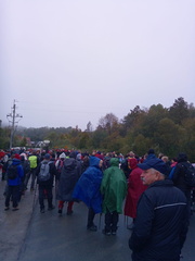 IMG-20241007-WA0005