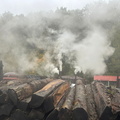 IMG-20241006-WA0023